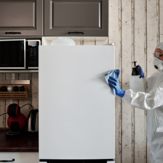 Photo Gallery Photo Gallery